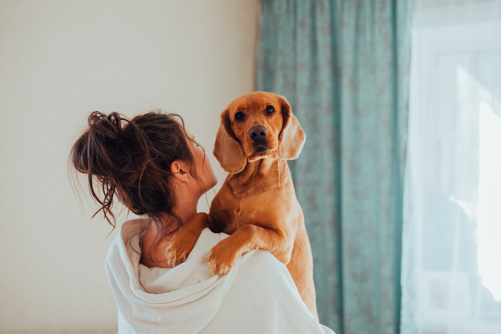 A Dog Getting Carried by its Owner